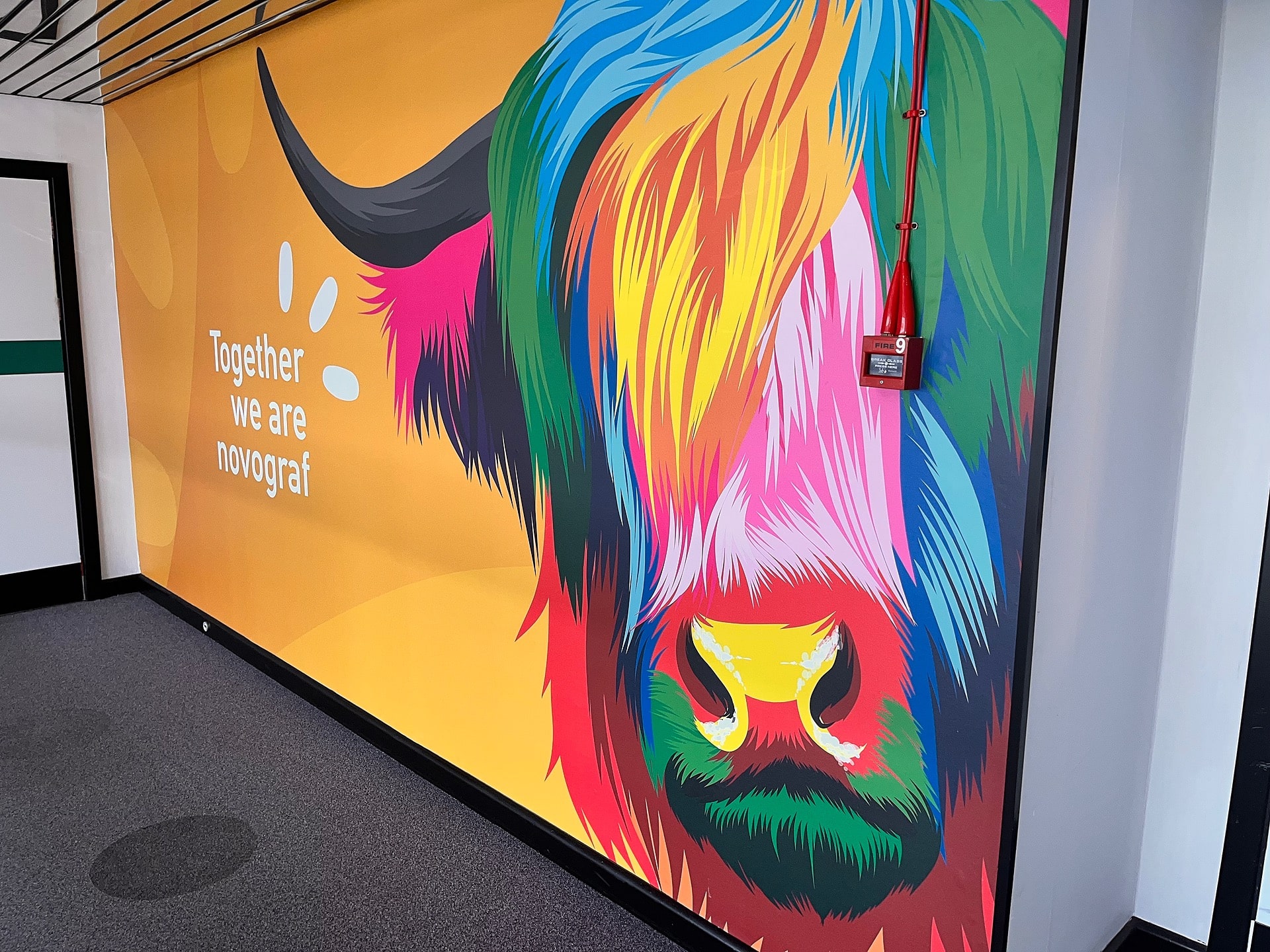 Orange background with a multi coloured printed highland cow