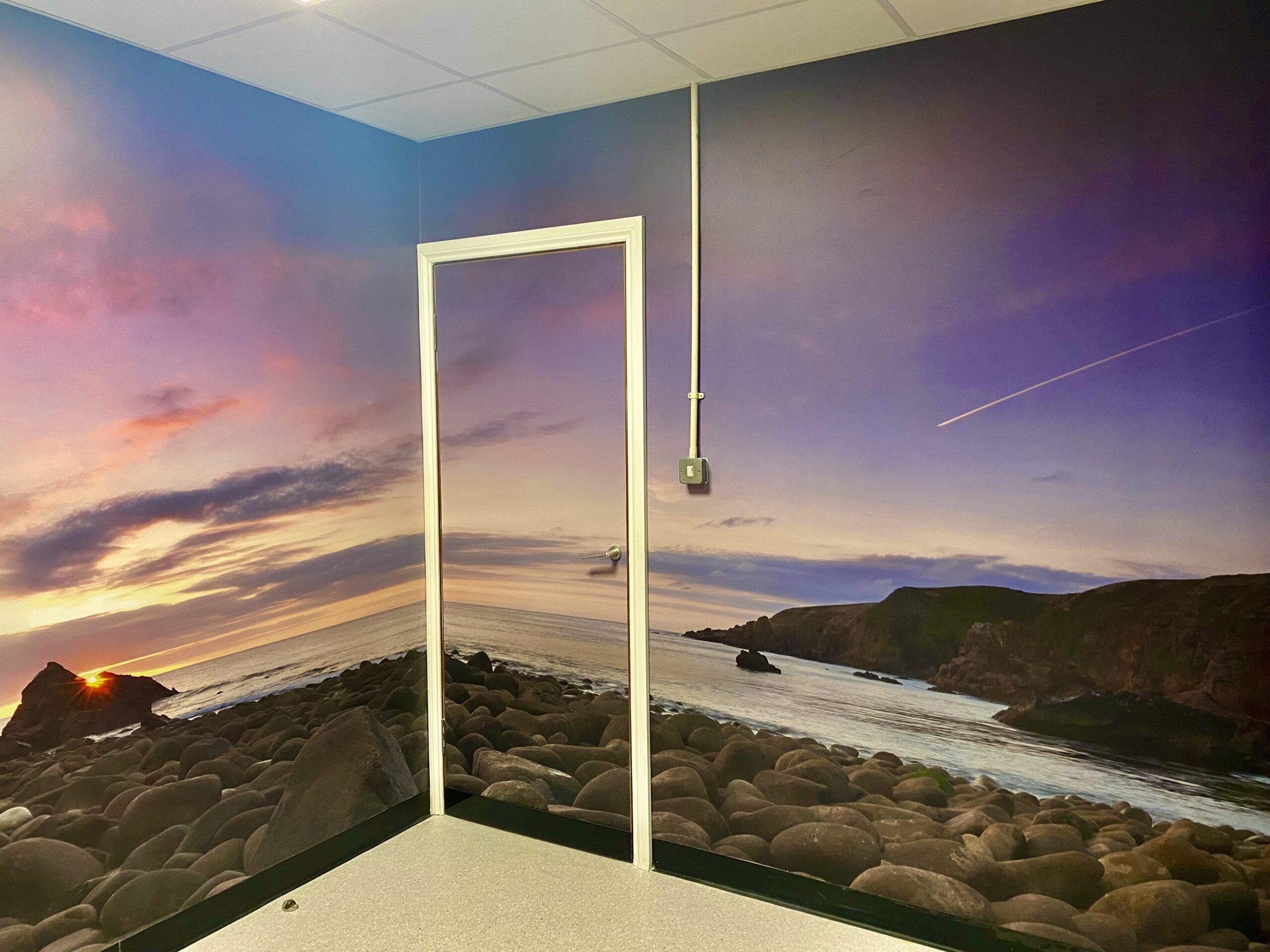 Printed Wall Mural with Scenic view of Donegal